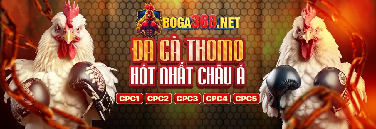 Hoạt động cộng đồng sôi nổi banca29 thể thao