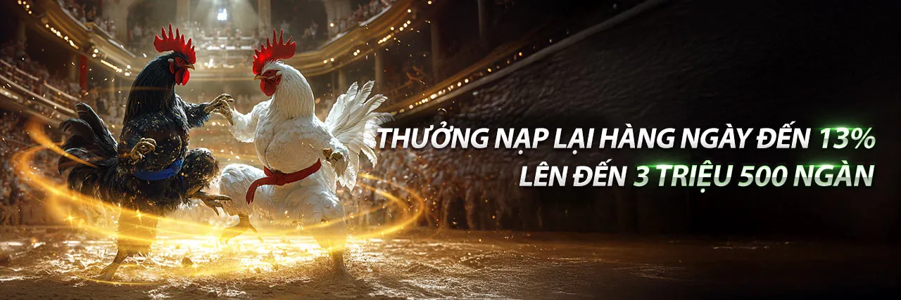 Sân vận động với không khí cá cược thể thao sôi động tại banca29 thể thao